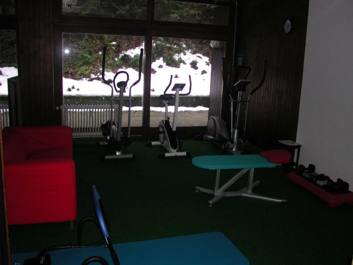 1z. 231 Barbo Schwimmbad-sauna-fitness Apartment Schoenwald im Schwarzwald